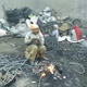 Image for article titled India’s two-million-tonne e-waste problem has deadly consequences